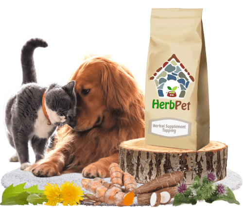 dog and cat sitting with healthy herb pet products